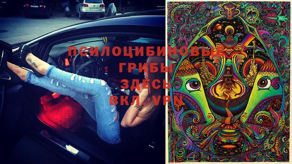 тгк Беломорск