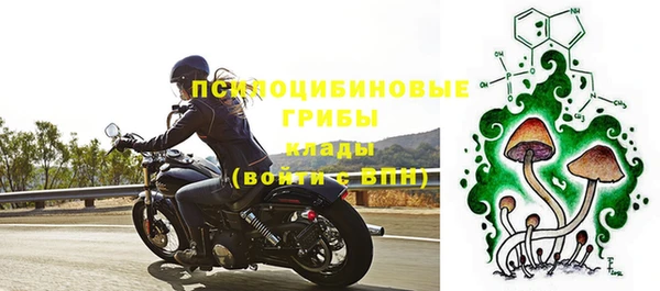 тгк Беломорск