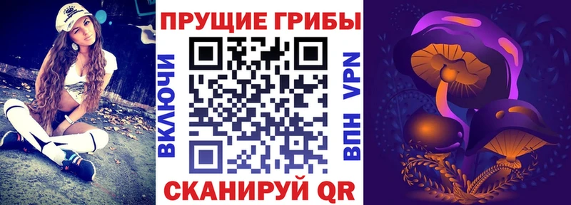 цены   Свободный  Псилоцибиновые грибы Cubensis 