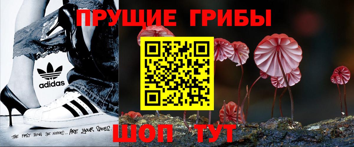 Свободный  Псилоцибиновые грибы Magic Shrooms  Вход с VPN 